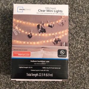 Indoor/Outdoor String Lights